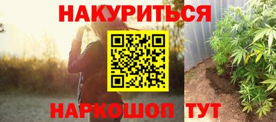 гидра Шелехов