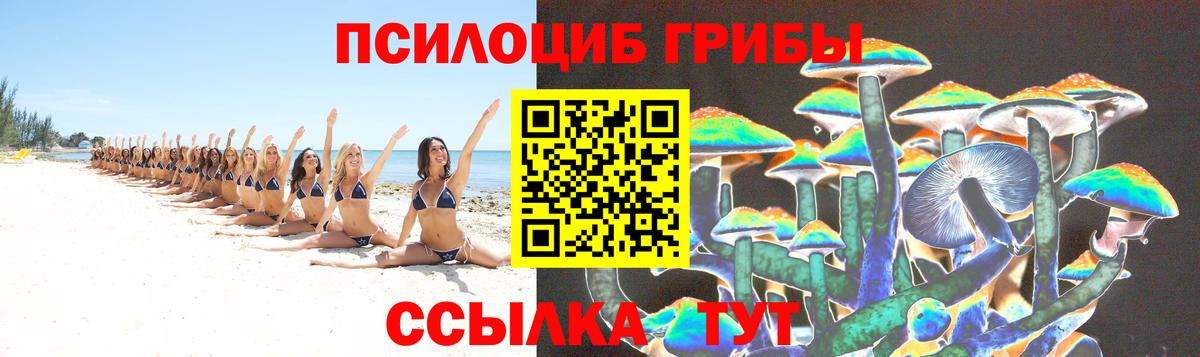Боровичи  Псилоцибиновые грибы Psilocybe  Псилоцибиновые грибы GOLDEN TEACHER  как найти закладки  Вход с VPN 